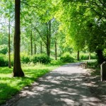 ポケモンGOを、西山公園(鯖江市)でしました。ポケストップやジムが多く、ピッピやプリンをよく見かけました。
